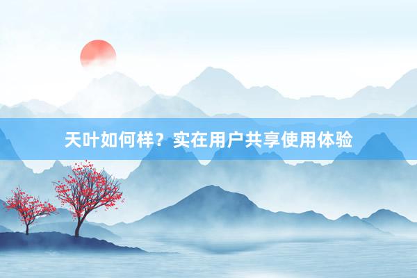 天叶如何样？实在用户共享使用体验